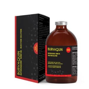 BURVAQUIN