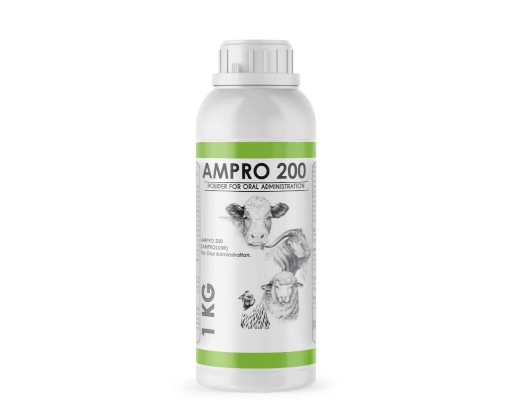 ampro 200