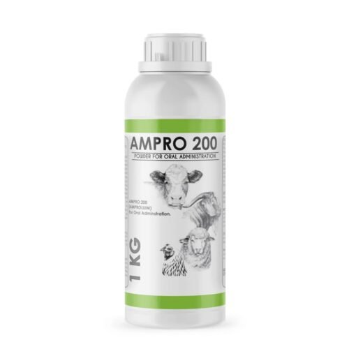 ampro 200