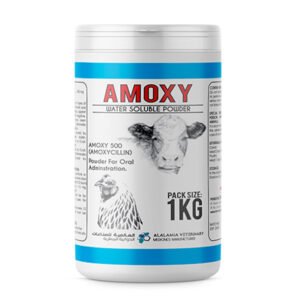 AMOXY 500