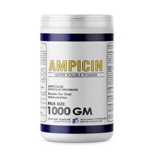 AMPICIN